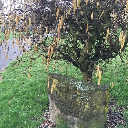 Feriested Zamek Dobra Oleśnica