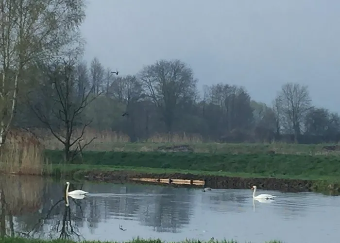 Resort Zamek Dobra Oleśnica