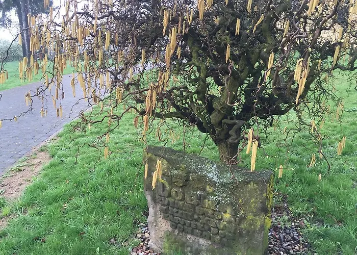 Resort Zamek Dobra Oleśnica