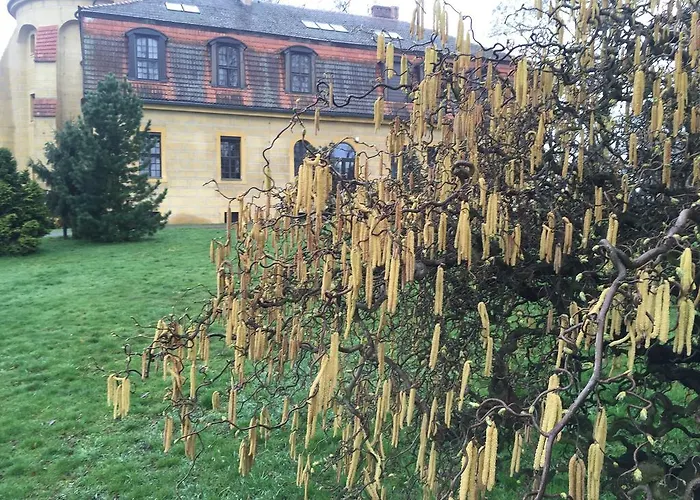 Zamek Dobra Semesteranläggning (resort) Oleśnica